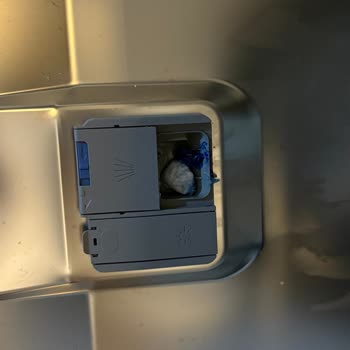 My Fhinis Quantum Ball Didn’t Dissolve in the Dishwasher