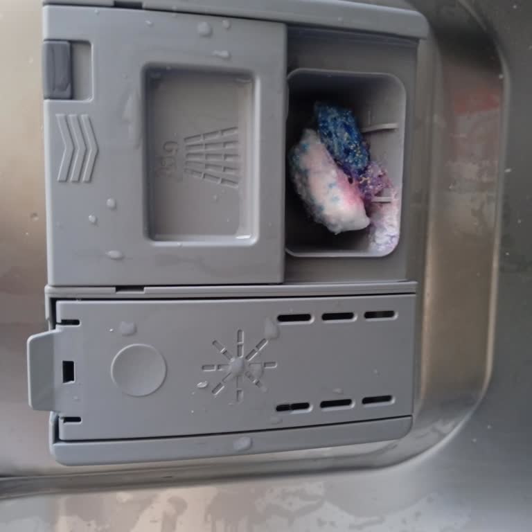 I Rewash Everything Because Finish Quantum Doesn’t Clean