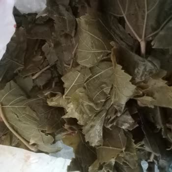 Online Siparişte Bozuk Ve Yırtık Paketli Ürün Teslimatı