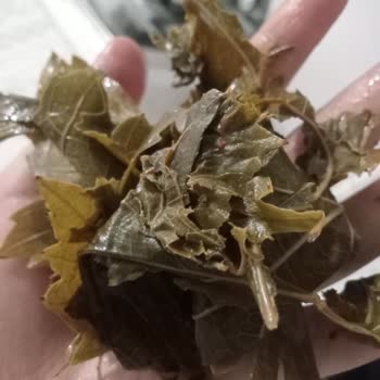 Online Siparişte Bozuk Ve Yırtık Paketli Ürün Teslimatı