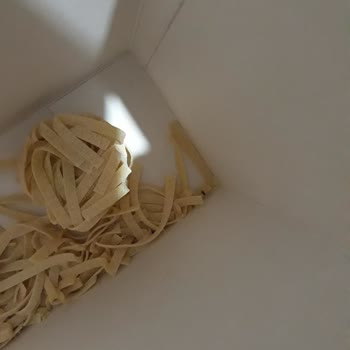 Barilla Tagliatelle Makarna Paketinden Böcek Çıkması Ve Gıda Güvenliği Endişesi