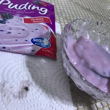 Dr. Oetker Pudding Contamination: Black Object Found Inside Product