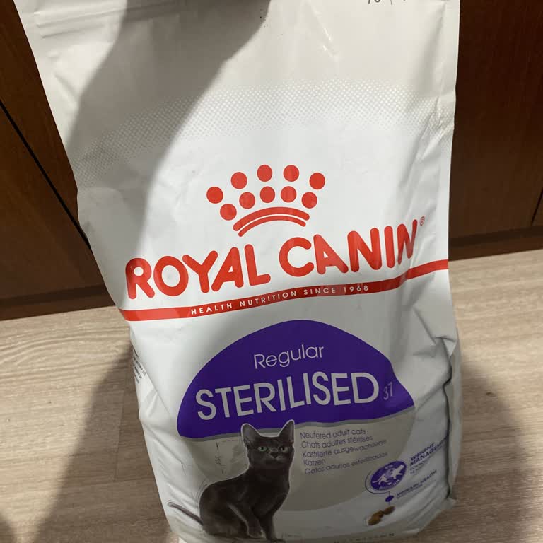 Sahte Kedi Maması Nedeniyle Kedilerimin Sağlığı Tehlikede