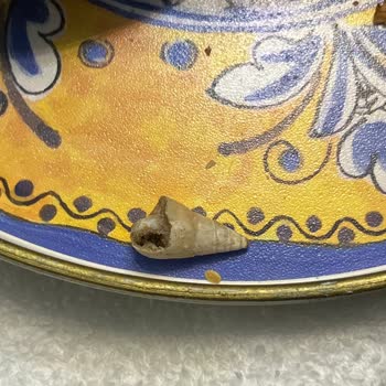 Kuruyemiş Karışımında Yabancı Madde: Sağlık Ve Güvenlik Endişesi