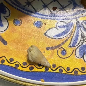 Kuruyemiş Karışımında Yabancı Madde: Sağlık Ve Güvenlik Endişesi