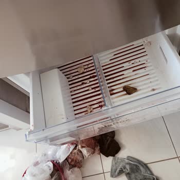 Yeni Buzdolabında Kritik Arıza Ve Yetersiz Servis Desteği