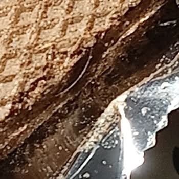 Kapalı Paket Gofrette Kıl Çıkması Hijyen Ve Güven Sorunu Yarattı