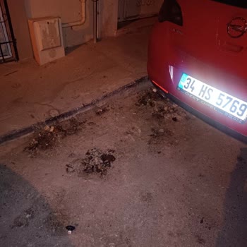 Aylarca Asfalt Ve Temizlik Yapılmayan Sokakta Sağlık Riski Artıyor