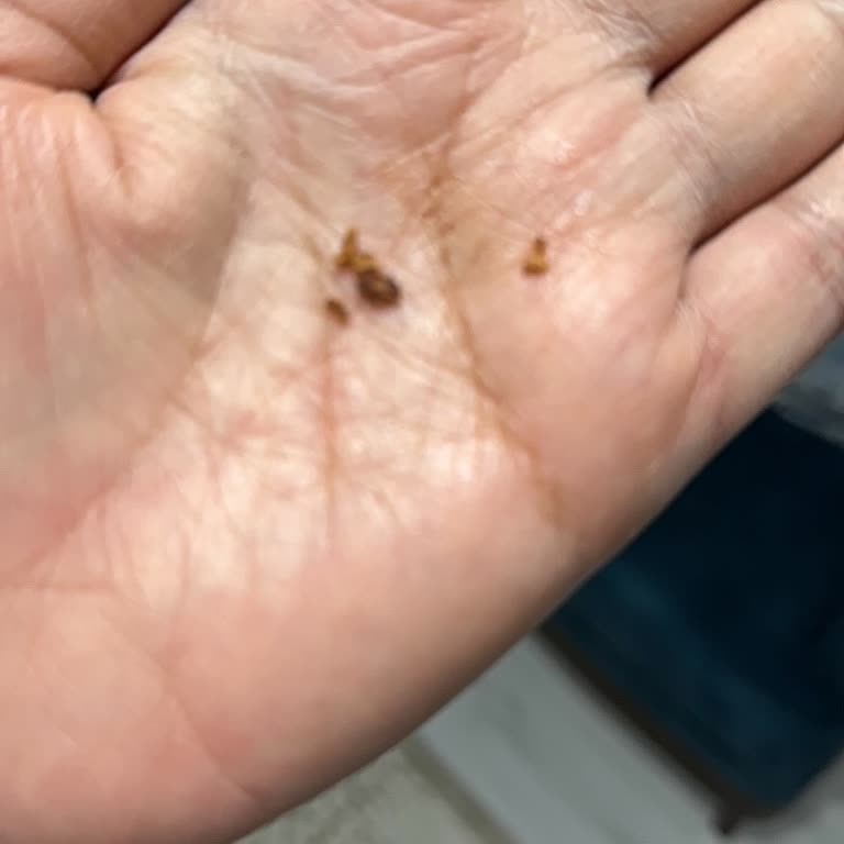 Kahve Dünyası Fındıklı Çikolatadan Çıkan Kabuk Hayal Kırıklığı Yarattı