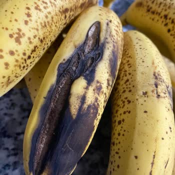 Eksik Ve Son Kullanma Tarihi Geçmiş Ürün Mağduriyeti