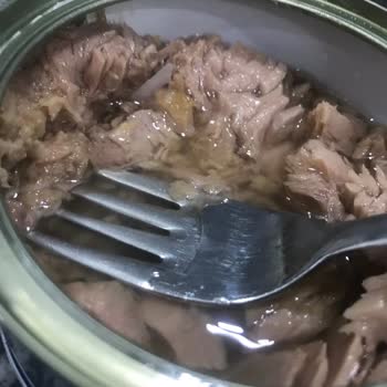 Ton Balığında Yabancı Parça Çıktı Dardanelden Açıklama Bekliyorum