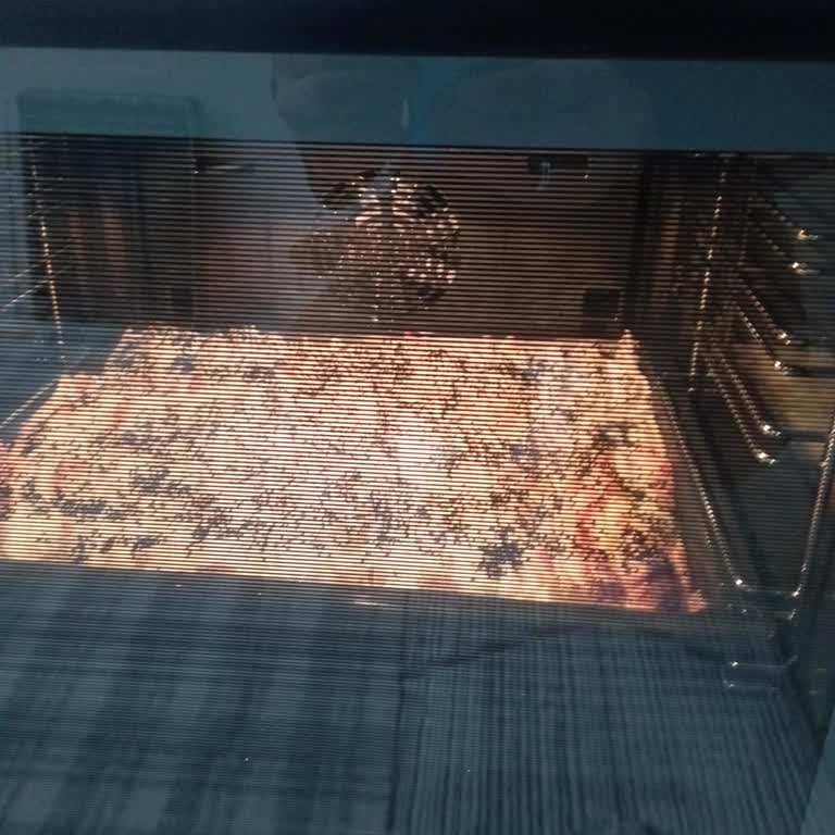 Bosch Ankastre Fırın Pişirme Sorunu Ve Servis Mağduriyeti