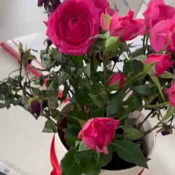 Öğretmenler Günü Siparişimde Solmuş Ve Yanlış Renkli Çiçekle Büyük Hayal Kırıklığı