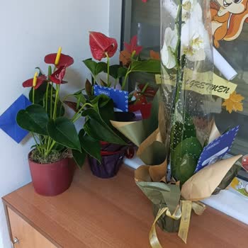 Öğretmenler Günü Siparişim Eksik Ve Özensiz Teslim Edildi