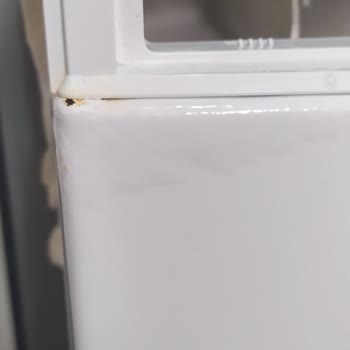 Bosch Çamaşır Makinesinde Kronik Paslanma Ve Yetersiz Destek