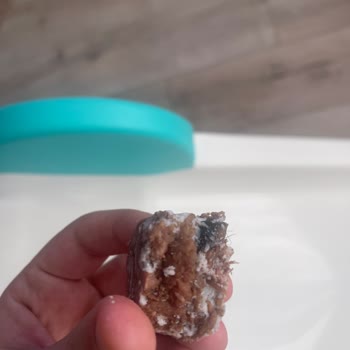 Dana Kavurmada Hijyen Sorunu Ve Sağlık Riski