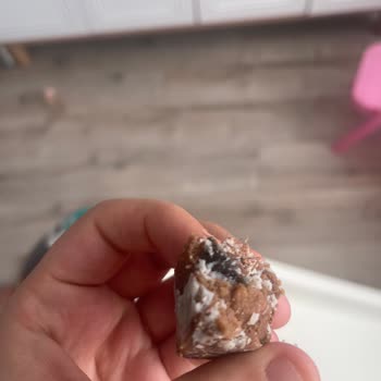 Dana Kavurmada Hijyen Sorunu Ve Sağlık Riski