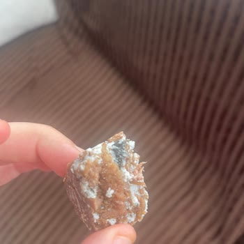 Dana Kavurmada Hijyen Sorunu Ve Sağlık Riski