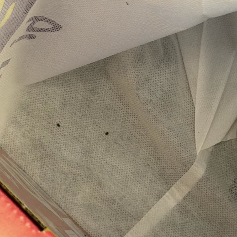 Siparişimde Böcek Çıkması Ve İade Sürecinde Destek Alamama