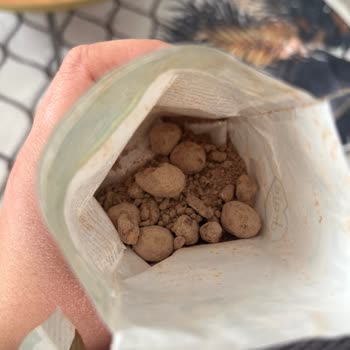 Son Kullanma Tarihi Geçmemiş Nestle Damak Draje Bozuk Çıktı