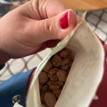 Son Kullanma Tarihi Geçmemiş Nestle Damak Draje Bozuk Çıktı