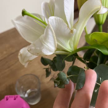 Solmuş Ve Özensiz Çiçek, İlgisiz Müşteri Hizmetleriyle Mağduriyet