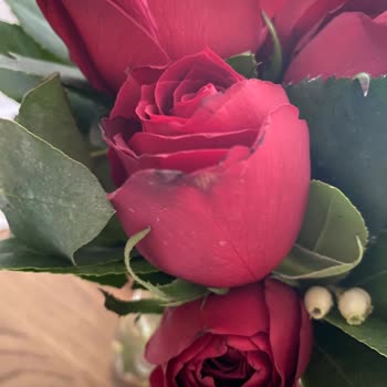 Özel Günümde Hayal Kırıklığı: Taze Ve Özenli Çiçek Beklerken Solgun Buketle Karşılaştım