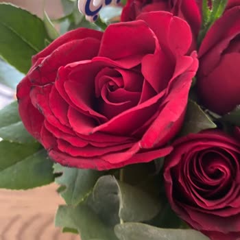 Özel Günümde Hayal Kırıklığı: Taze Ve Özenli Çiçek Beklerken Solgun Buketle Karşılaştım