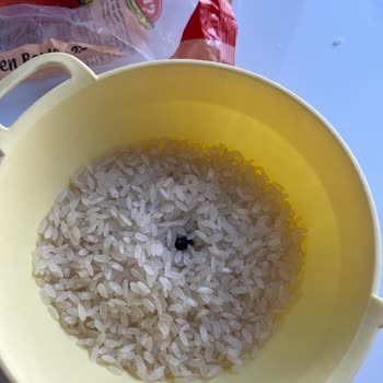 Pirinç Paketinde Hijyen Skandalı Ve Sağlık Riski