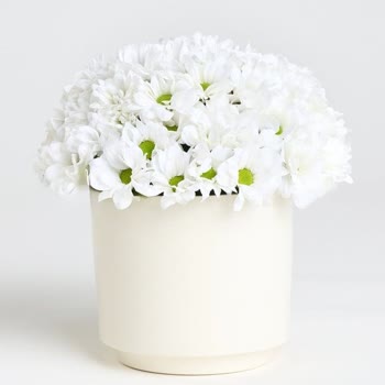 Sipariş Edilen Çiçek Adedi Ve Görseli Beklentiyi Karşılamadı