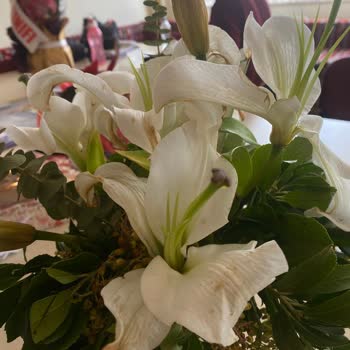 Çürük Ve Solmuş Çiçekler, İlgisiz Müşteri Hizmetleri İle Mağduriyet Yaşadım