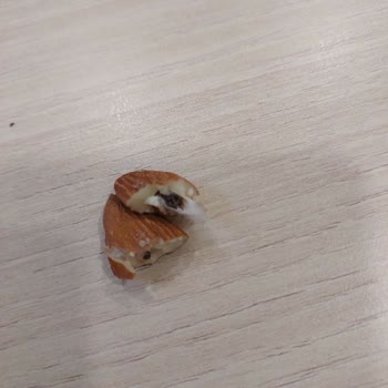 Aldığım Çiğ Bademden Kurt Çıkması Ve Güven Sorunu