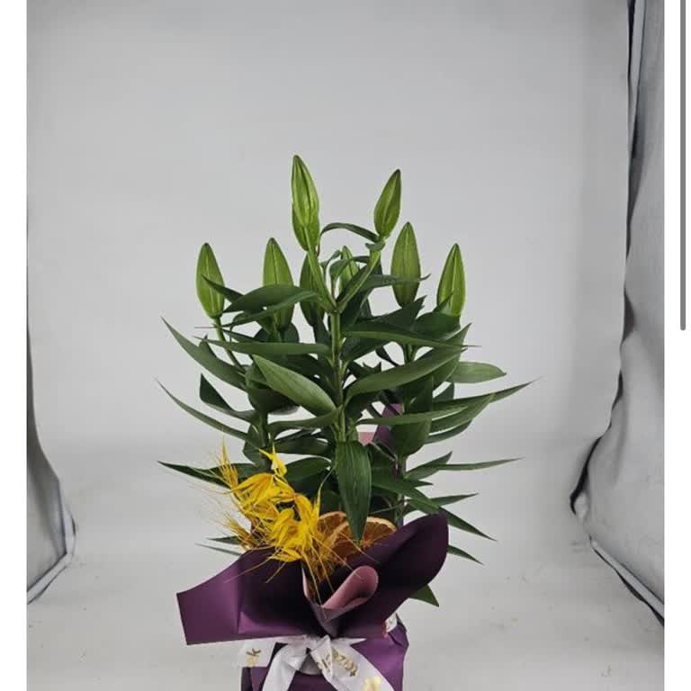 Yanlış Ürün Ve Gecikmeli Teslimat, İade Talebime Cevap Yok!