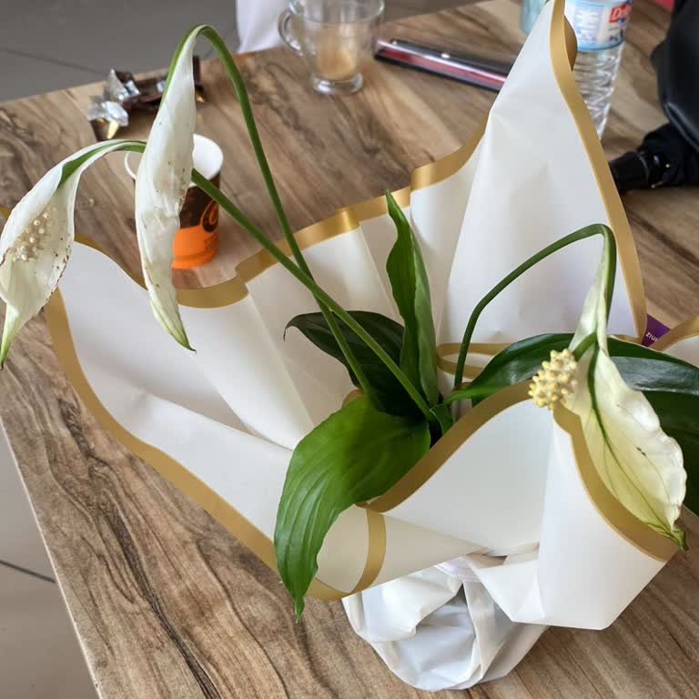 Çiçek Market Öğretmenler Günü Siparişim Solmuş ve Bakımsız Teslim Edildi