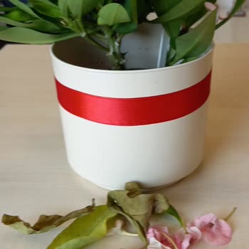 Sipariş Edilen Gül Yerine Solmuş Ve Dökülmüş Çiçek Gönderildi