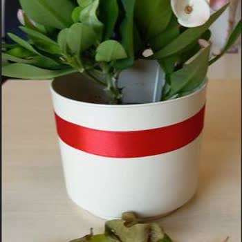 Sipariş Edilen Gül Yerine Solmuş Ve Dökülmüş Çiçek Gönderildi