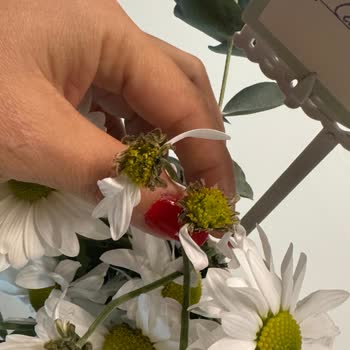 Sipariş Edilen Çiçek Görselden Farklı Ve Özensiz Teslim Edildi, Mağduriyetim Giderilmedi