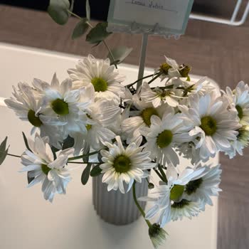 Sipariş Edilen Çiçek Görselden Farklı Ve Özensiz Teslim Edildi, Mağduriyetim Giderilmedi