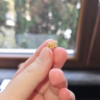 UNO Cookie'den Kıl Çıkması Hijyen Güvenimi Sarsıyor