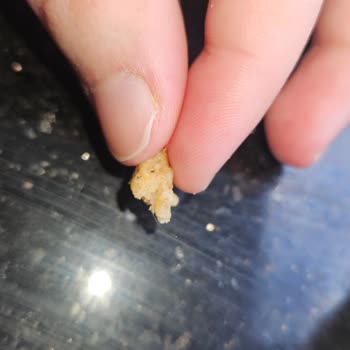 UNO Cookie'den Kıl Çıkması Hijyen Güvenimi Sarsıyor