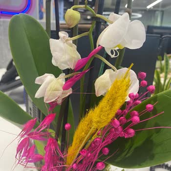 Solmuş Ve Eksik Ürün, Ulaşılamayan Müşteri Hizmeti