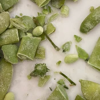 Superfresh Dondurulmuş Fasulyede Temizlik Ve Kontrol Sorunu