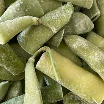 Superfresh Dondurulmuş Fasulyede Temizlik Ve Kontrol Sorunu