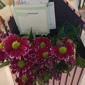 Görseldeki Çiçek Yerine Farklı Ve Kalitesiz Ürün Gönderildi