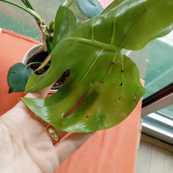 Görselden Farklı, Kalitesiz Ürün Ve Müşteri Hizmetlerine Ulaşılamıyor