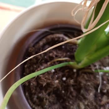 Görselden Farklı, Kalitesiz Ürün Ve Müşteri Hizmetlerine Ulaşılamıyor