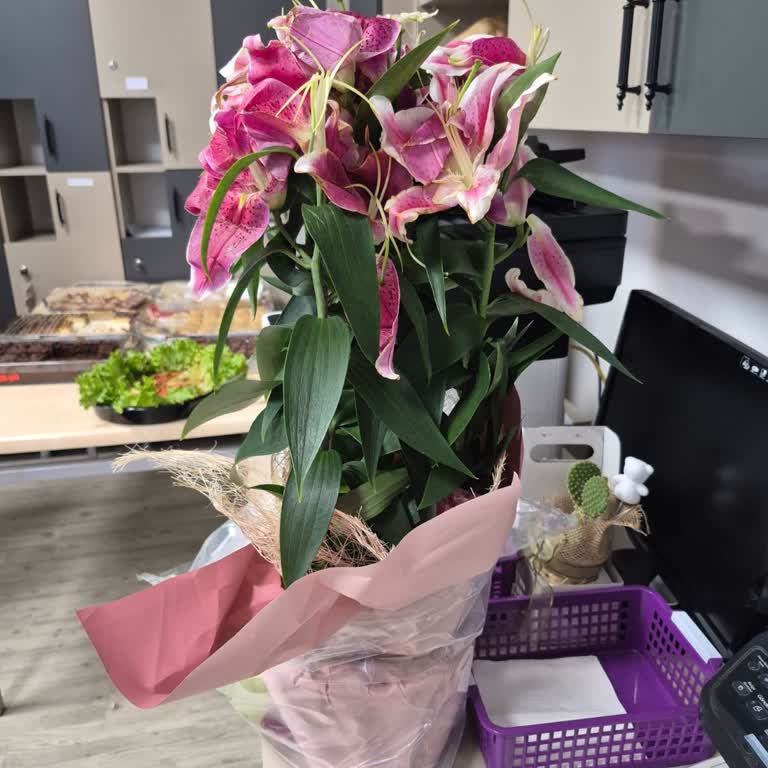 Geç Teslimat Ve Kalitesiz Ürünle Büyük Hayal Kırıklığı