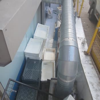 Esenyurt'ta Balıkçı İşletmesinin Çevre Kirliliği Şikayeti