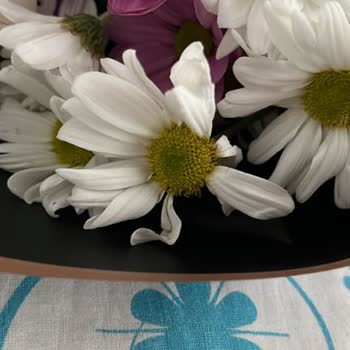 Çiçek Market Siparişimdeki Solmuş ve Çürümüş Çiçek Nedeniyle Mağduriyet Yaşadım