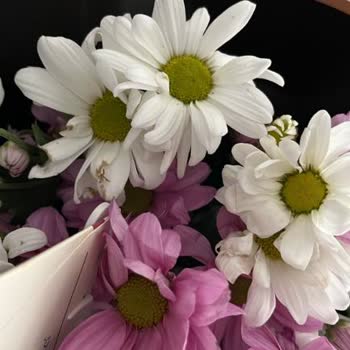 Çiçek Market Siparişimdeki Solmuş ve Çürümüş Çiçek Nedeniyle Mağduriyet Yaşadım